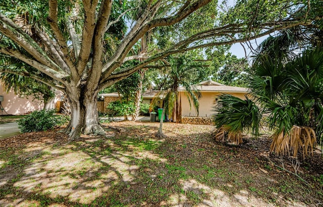 11783 102nd Ave, Largo, FL 33778 - photo 32