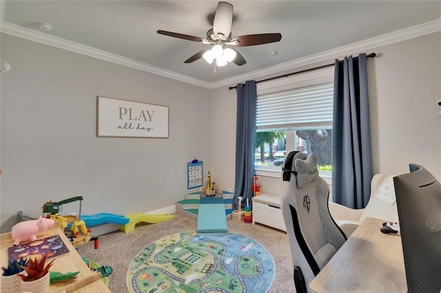 910 E Crenshaw St, Tampa, FL 33604 - photo 39