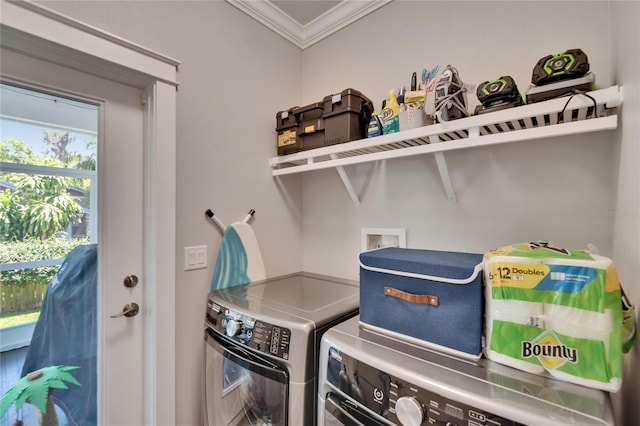 910 E Crenshaw St, Tampa, FL 33604 - photo 42