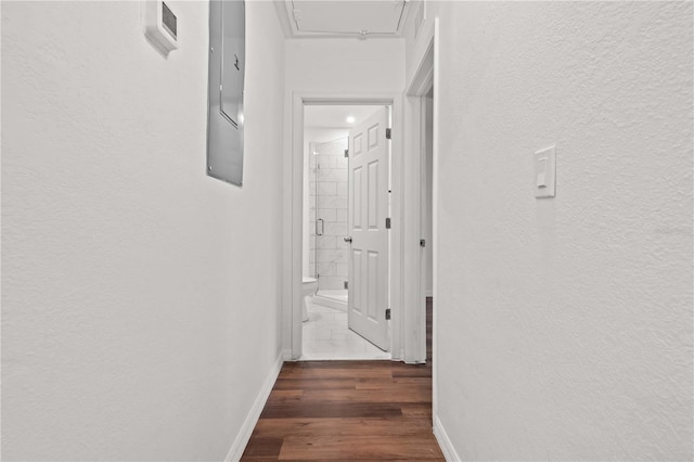 1204 E Hamilton Ave, Tampa, FL 33604 - photo 31
