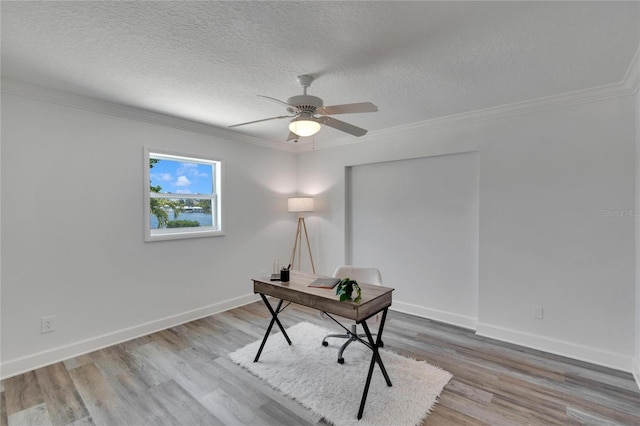 805 Leisey Cir, Ruskin, FL 33570 - photo 45