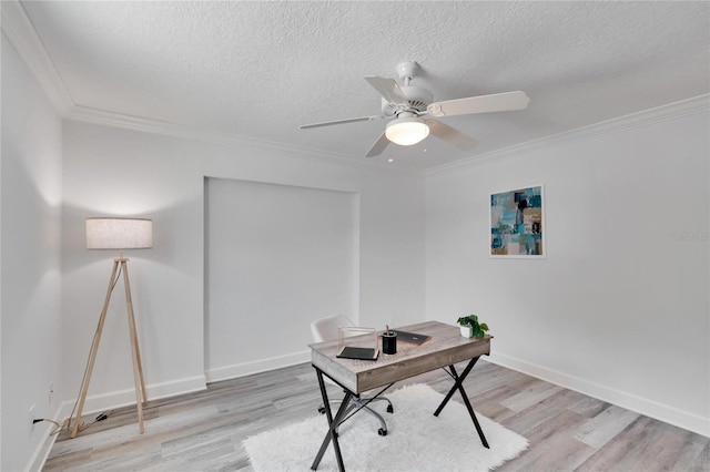 805 Leisey Cir, Ruskin, FL 33570 - photo 47