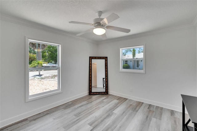 805 Leisey Cir, Ruskin, FL 33570 - photo 50