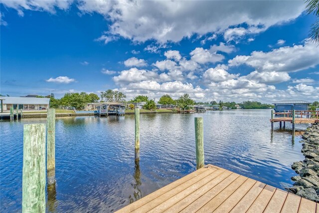 805 Leisey Cir, Ruskin, FL 33570 - photo 68