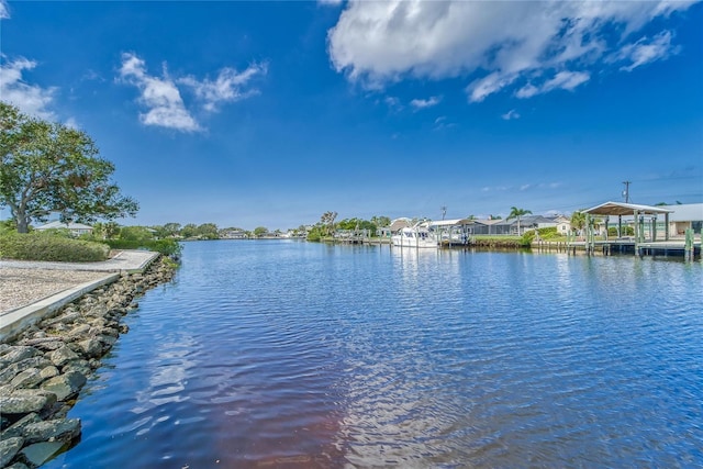 805 Leisey Cir, Ruskin, FL 33570 - photo 69