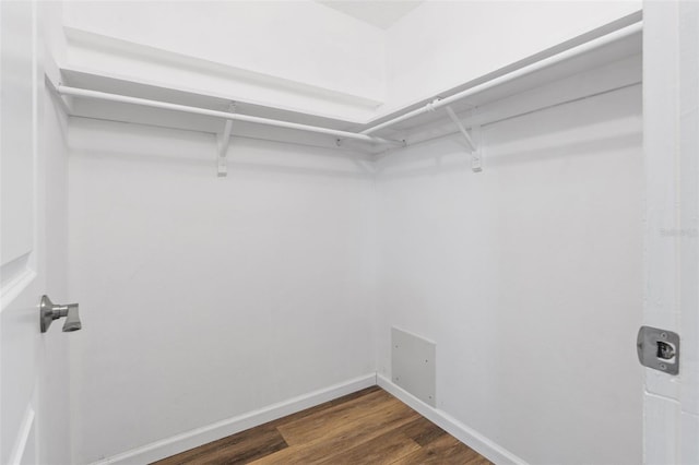 9209 Seminole Blvd Unit 13, Seminole, FL 33772 - spacious closet with dark wood finished floors
