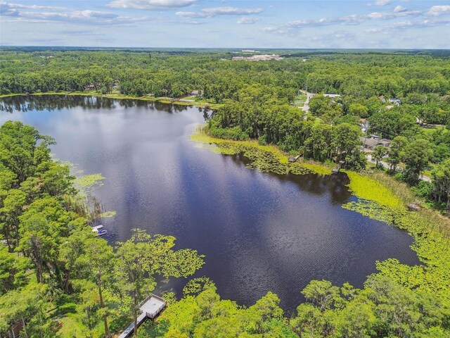 17906 Loretta Ln, Lutz, FL 33548 - bird's eye view of a heavily wooded area and a large body of water