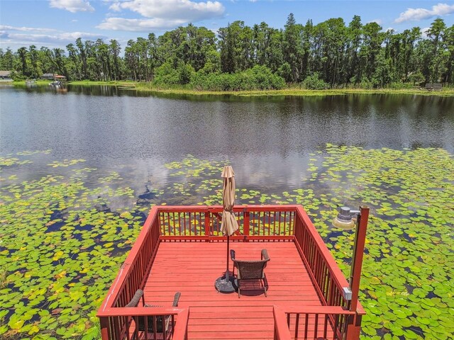 17906 Loretta Ln, Lutz, FL 33548 - wooden deck featuring a water view