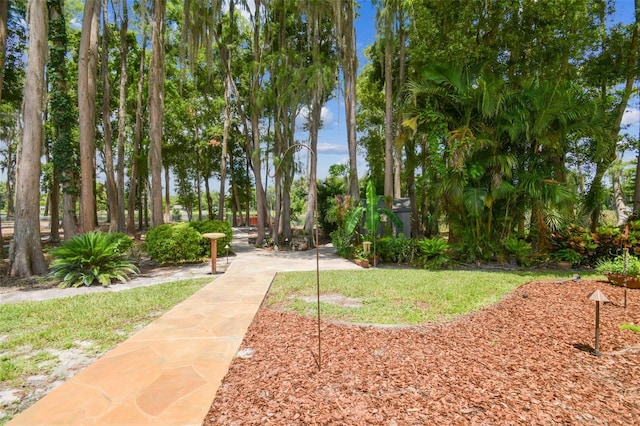 17906 Loretta Ln, Lutz, FL 33548 - surrounding community