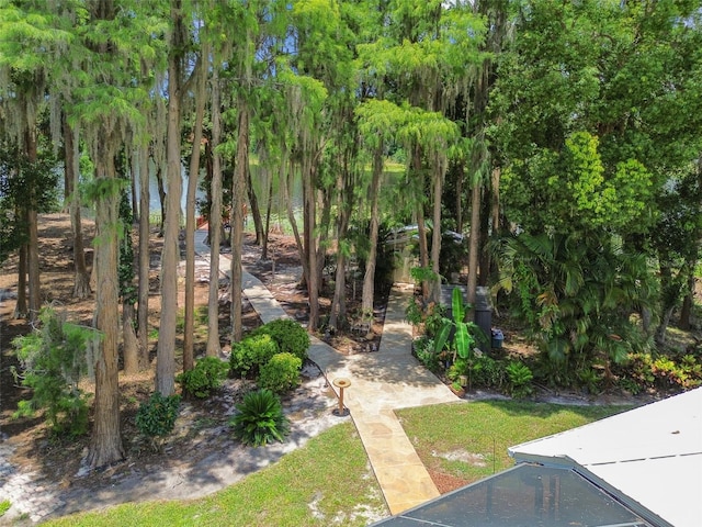 17906 Loretta Ln, Lutz, FL 33548 - view of yard