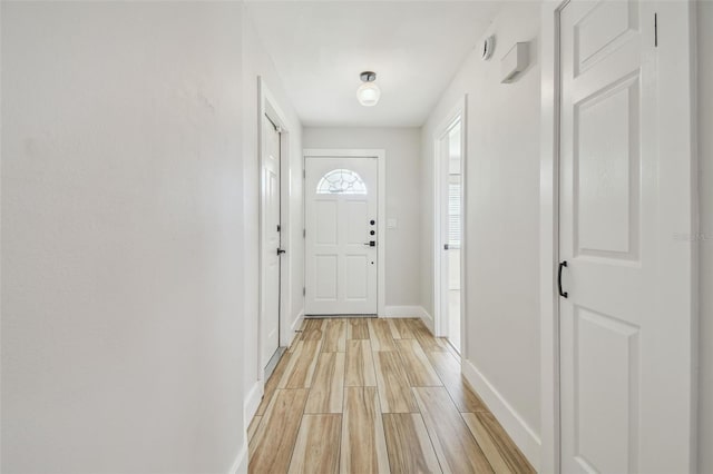 206 N Beverly Ave Unit 1/2, Tampa, FL 33609 - doorway featuring light wood-style flooring and baseboards