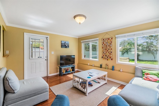 2025 Jefferson Ave, Dunedin, FL 34698 - living area featuring crown molding, plenty of natural light, and wood finished floors