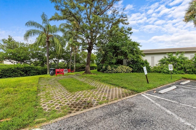 4540 Overlook Dr NE Unit 246, Saint Petersburg, FL 33703 - photo 22
