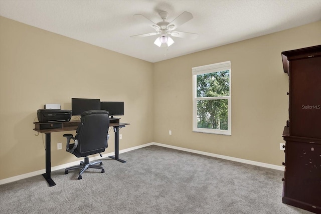 20835 Lake Talia Blvd, Land O Lakes, FL 34638 - photo 40