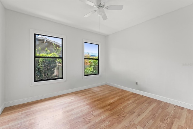 217 W Powhatan Ave, Tampa, FL 33604 - photo 12