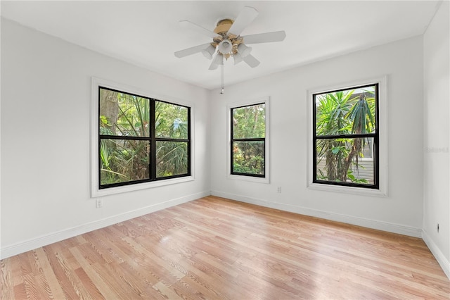 217 W Powhatan Ave, Tampa, FL 33604 - photo 13