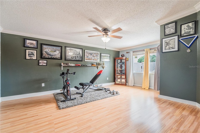1205 Sweet Gum Dr, Brandon, FL 33511 - exercise area featuring a ceiling fan, wood finished floors, a textured ceiling, and crown molding