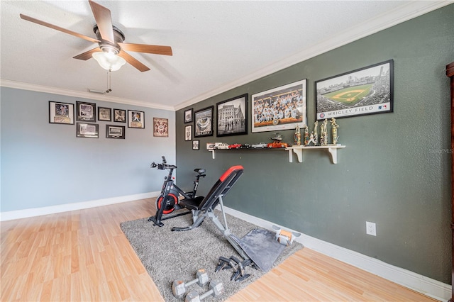 1205 Sweet Gum Dr, Brandon, FL 33511 - exercise room featuring ceiling fan, wood finished floors, and ornamental molding