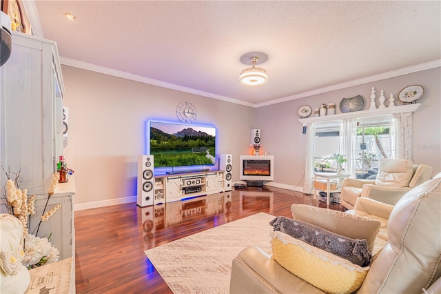 1205 Sweet Gum Dr, Brandon, FL 33511 - living room featuring crown molding and dark wood-style floors