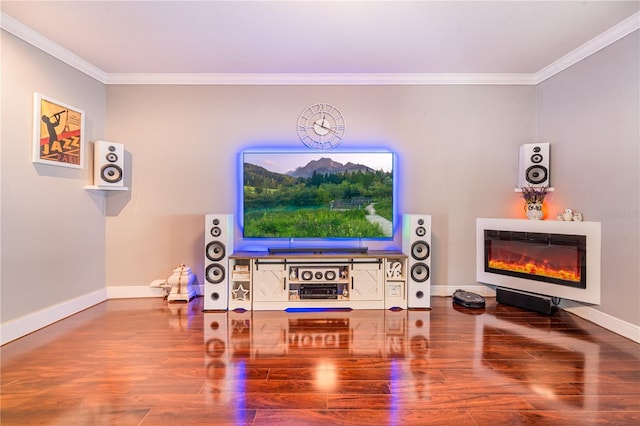1205 Sweet Gum Dr, Brandon, FL 33511 - living room with ornamental molding, wood finished floors, and a glass covered fireplace