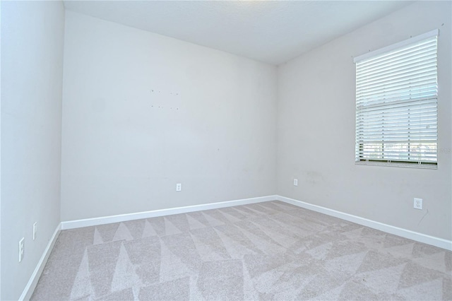 11011 Little Blue Heron Dr, Riverview, FL 33579 - photo 40