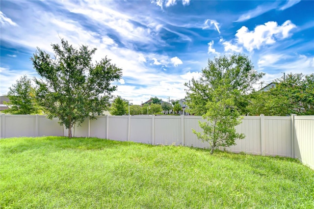 11011 Little Blue Heron Dr, Riverview, FL 33579 - photo 54