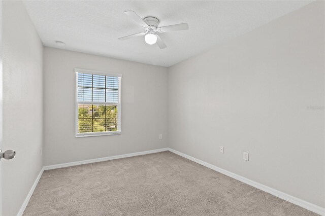 9768 Pembrooke Pines Dr, Sun City Center, FL 33573 - photo 13