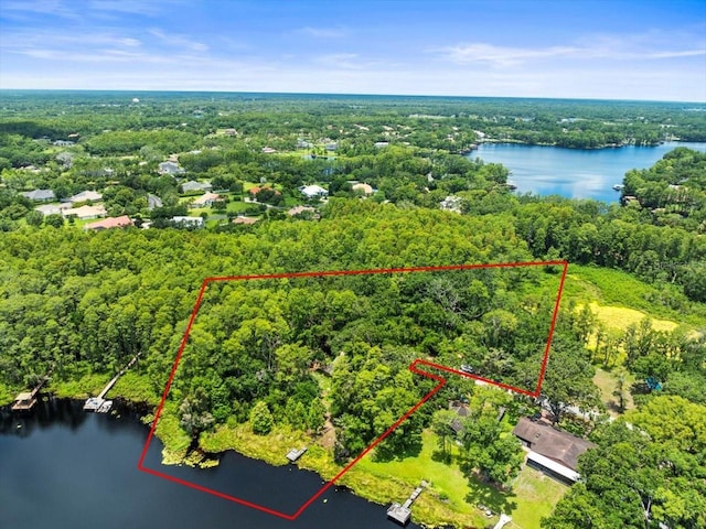 16035 Chastain Rd, Odessa, FL 33556 - photo 1