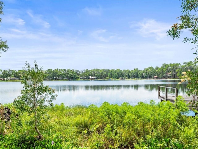 16035 Chastain Rd, Odessa, FL 33556 - photo 3