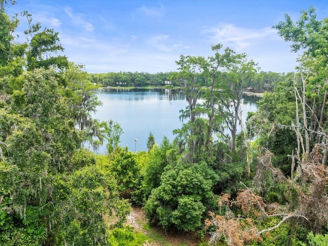 16035 Chastain Rd, Odessa, FL 33556 - photo 5