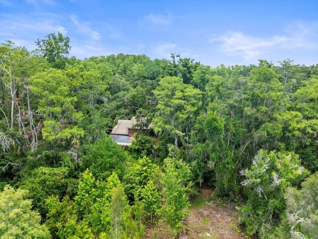 16035 Chastain Rd, Odessa, FL 33556 - photo 6