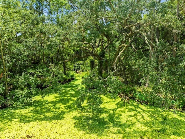 16035 Chastain Rd, Odessa, FL 33556 - photo 7