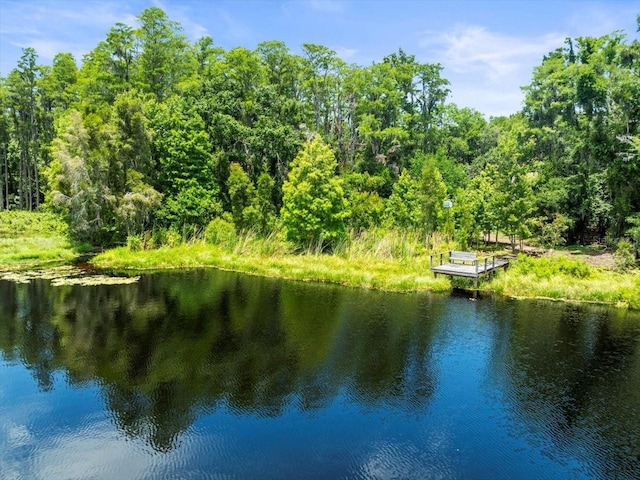 16035 Chastain Rd, Odessa, FL 33556 - photo 8
