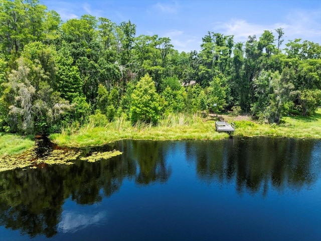 16035 Chastain Rd, Odessa, FL 33556 - photo 9