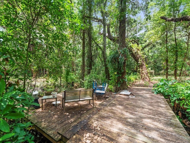 16035 Chastain Rd, Odessa, FL 33556 - photo 11