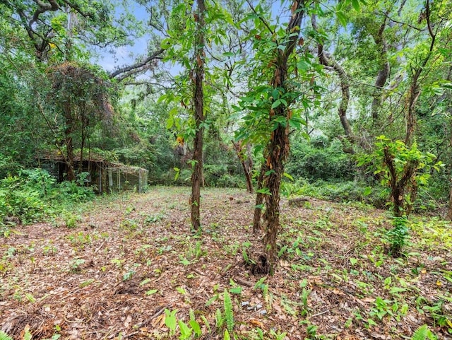 16035 Chastain Rd, Odessa, FL 33556 - photo 13