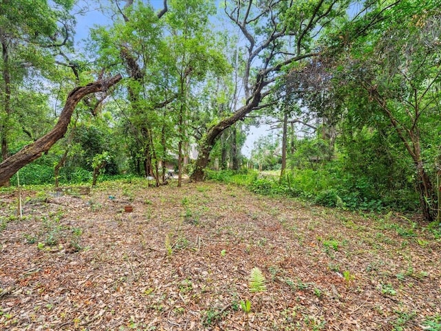 16035 Chastain Rd, Odessa, FL 33556 - photo 14