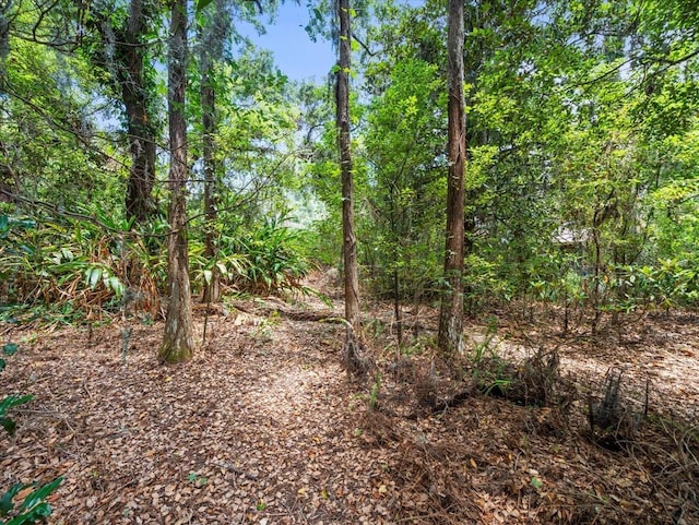 16035 Chastain Rd, Odessa, FL 33556 - photo 15