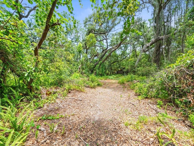 16035 Chastain Rd, Odessa, FL 33556 - photo 18