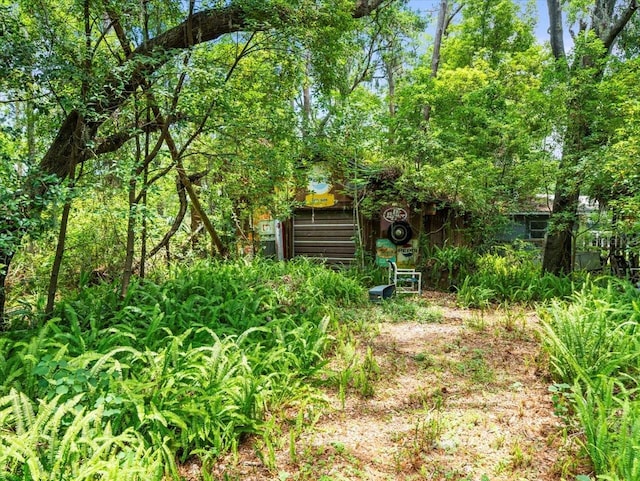 16035 Chastain Rd, Odessa, FL 33556 - photo 20