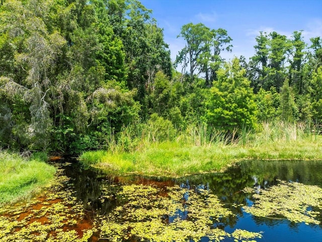 16035 Chastain Rd, Odessa, FL 33556 - photo 28