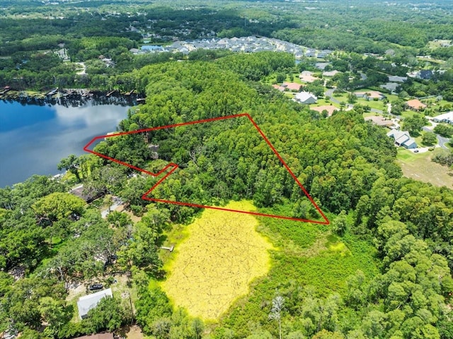 16035 Chastain Rd, Odessa, FL 33556 - photo 29