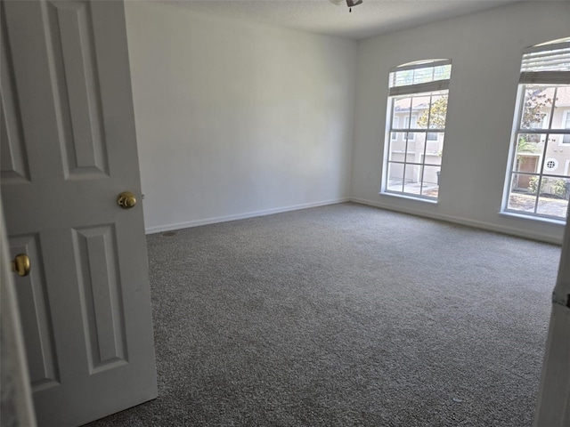 9958 Ashburn Lake Dr, Tampa, FL 33610 - photo 7