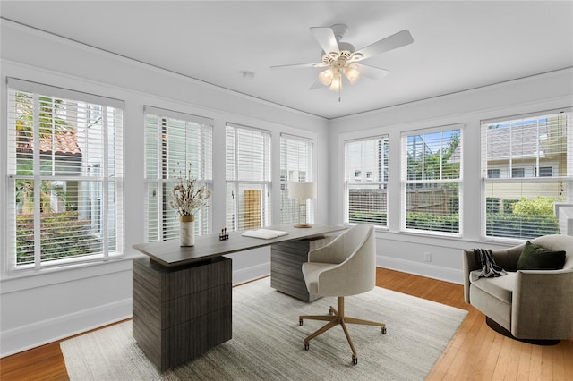 3118 W Harbor View Ave, Tampa, FL 33611 - photo 14