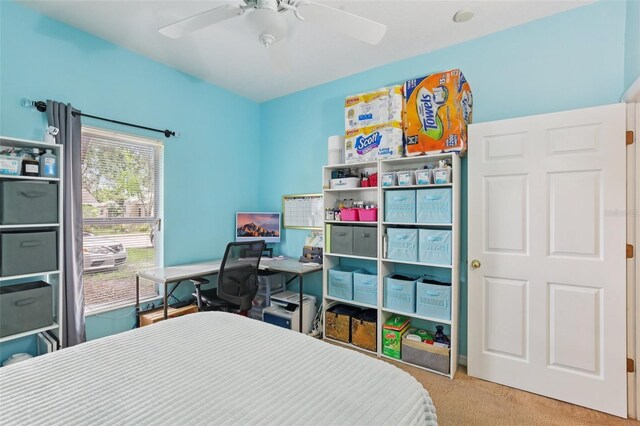 1605 Prescott St S, Saint Petersburg, FL 33712 - photo 16