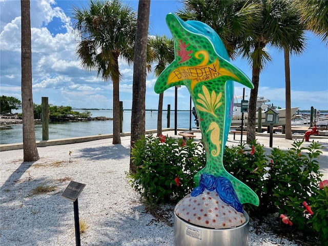 702 Lyndhurst St Unit 822, Dunedin, FL 34698 - photo 41