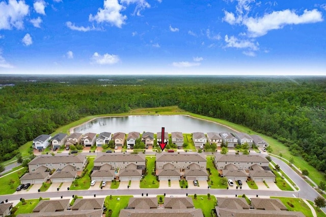 17378 Cruiser Bnd, Land O Lakes, FL 34638 - photo 43