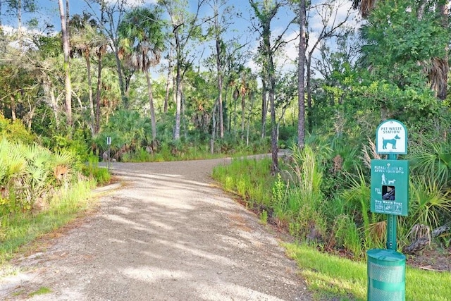 17378 Cruiser Bnd, Land O Lakes, FL 34638 - photo 56