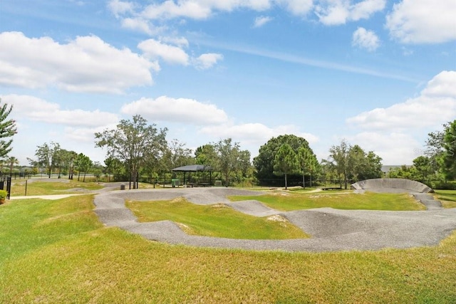 17378 Cruiser Bnd, Land O Lakes, FL 34638 - photo 65
