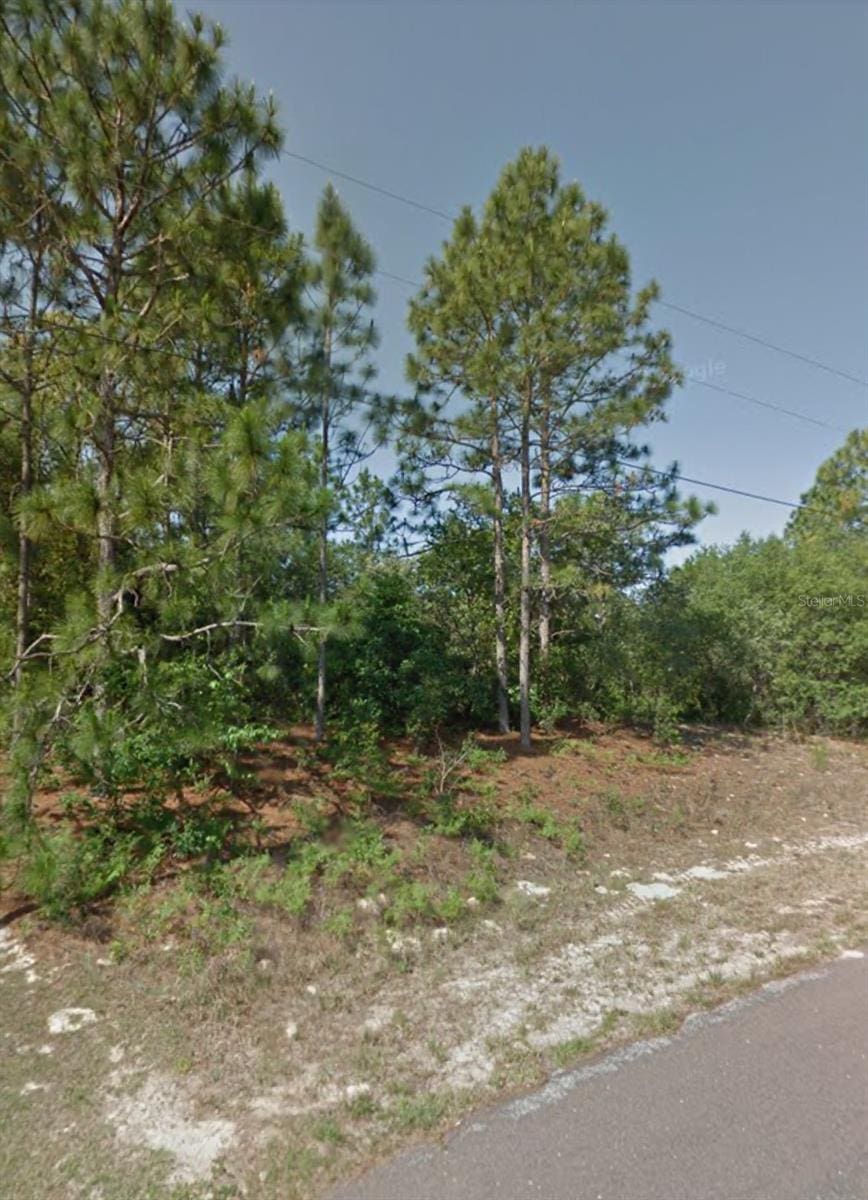 3238 W Camilo Dr, Citrus Springs, FL 34433 - photo 2
